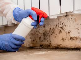 Biohazard Mold Removal in Johnson City, TX